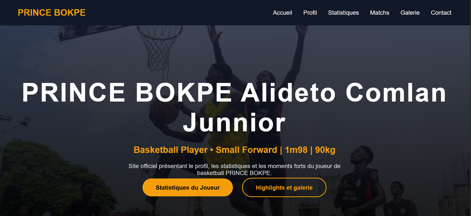Site carrière basketball